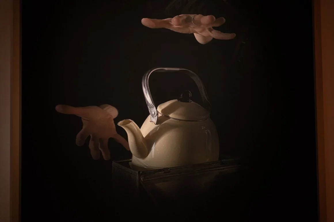 Exposición “Luz de invierno” debuta en Chile con montaje interactivo en CECAL UdeC