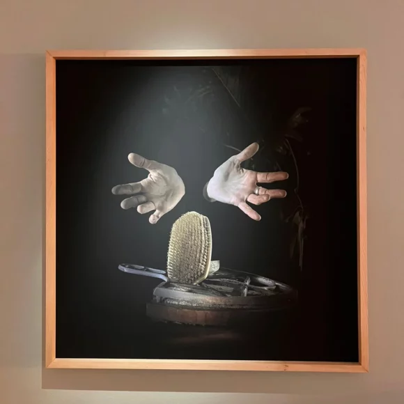 WhatsApp Image 2025-12-16 at 20.41.18 “Luz de invierno” se inaugura este miércoles en CECAL UdeC Campus Chillán