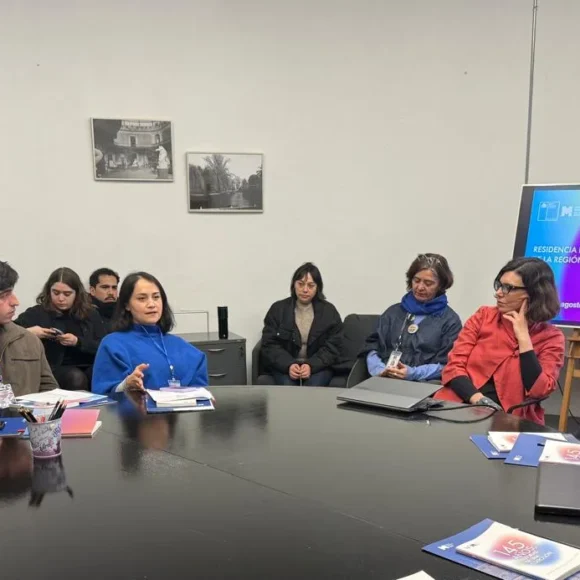 CECAL UdeC articuló residencia de instituciones culturales de Ñuble en el Museo Nacional de Bellas Artes